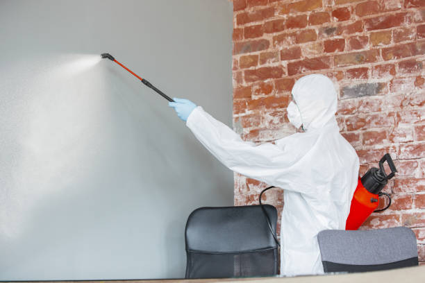 Best Air Quality Testing for Mold Spores  in Gilbert, MN