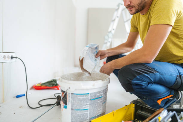Best Mold Damage Restoration  in Gilbert, MN