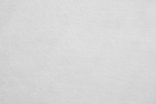 Trusted Gilbert, MN Mold Removal Experts