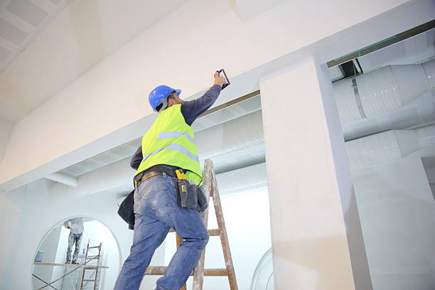 Best Water Damage & Mold Remediation  in Gilbert, MN