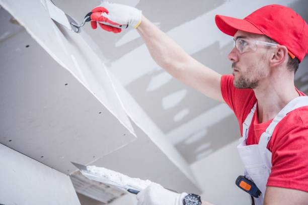 Best Mold Prevention Services  in Gilbert, MN