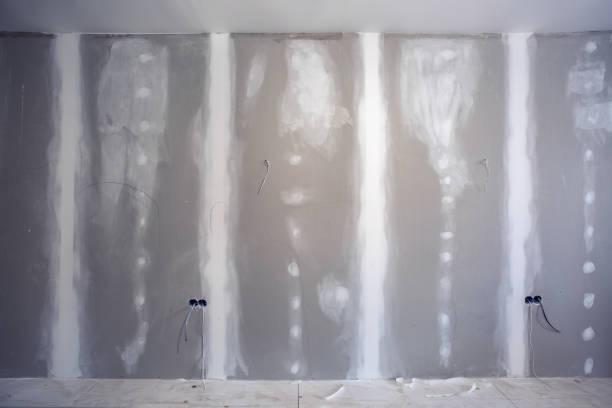 Best Asbestos and Lead Testing During Mold Inspection  in Gilbert, MN